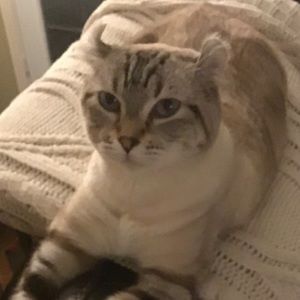 Meet your Posher, Nancy